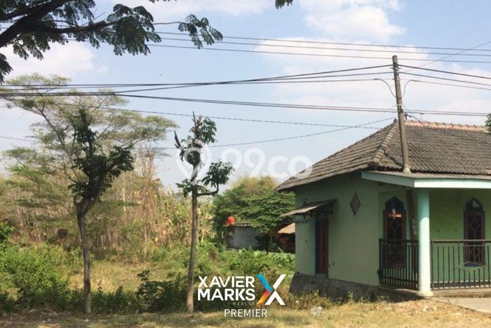 Tanah Strategis Dijual di Padangan Bojonegoro 3275m2 Tanah Strategis Dijual di Padangan Bojonegoro 3275m2