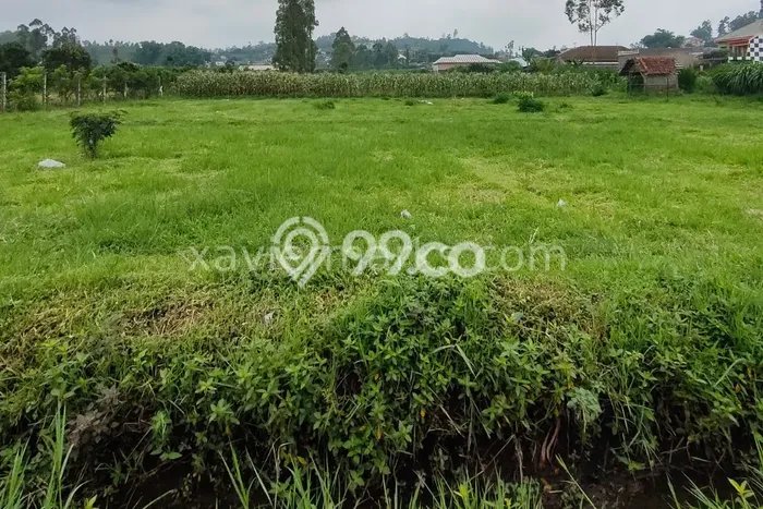 Kavling Tanah Dijual di Batu Batu Spesifikasi 1007m2 Kavling Tanah Dijual di Batu Batu Spesifikasi 1007m2