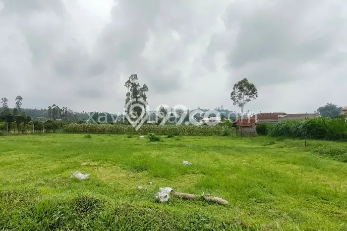 Kavling Tanah Dijual di Batu Batu Spesifikasi 1007m2 Kavling Tanah Dijual di Batu Batu Spesifikasi 1007m2