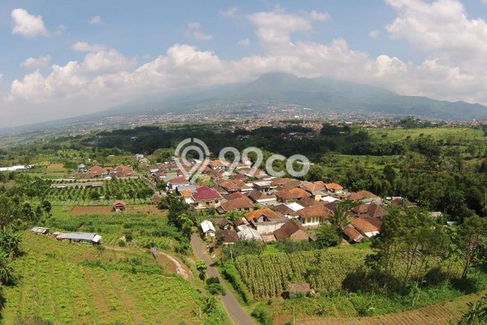 Lahan untuk Dijual di Bumiaji Batu Luas 1649m2 Lahan untuk Dijual di Bumiaji Batu Luas 1649m2
