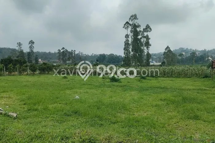 Kavling Tanah Dijual di Batu Batu Spesifikasi 1007m2 Kavling Tanah Dijual di Batu Batu Spesifikasi 1007m2