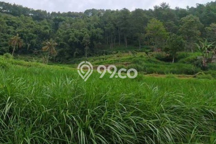 Tanah Kosong Dijual di Batu dengan Area 1004m2 Tanah Kosong Dijual di Batu dengan Area 1004m2