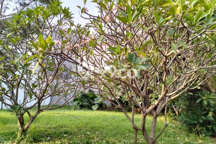 Tanah Kavling Dijual di Tangerang dengan Spesifikasi 398m2 Tanah Kavling Dijual di Tangerang dengan Spesifikasi 398m2