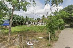 Tanah untuk Dijual Lokasi Pakuhaji, Tangerang Luas 11005m2 SHM Tanah untuk Dijual Lokasi Pakuhaji, Tangerang Luas 11005m2 SHM