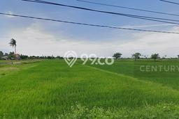 Untuk Dijual Tanah di Rajeg Tangerang Luas 11000m2 SHM Untuk Dijual Tanah di Rajeg Tangerang Luas 11000m2 SHM