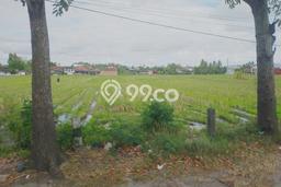 Lahan Dijual Lokasi Bantul, Bantul dengan Luas Tanah 2000m2 dan Status SHM Lahan Dijual Lokasi Bantul, Bantul dengan Luas Tanah 2000m2 dan Status SHM