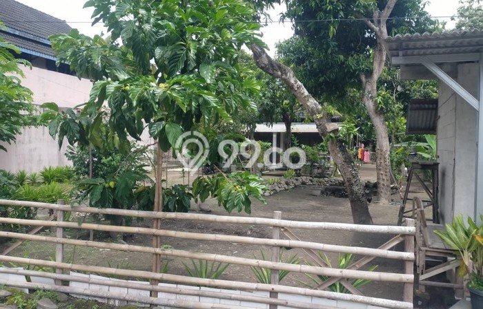 Jual Rumah Strategis Bagus Punya 4 KT di Prambanan Klaten SHM Jual Rumah Strategis Bagus Punya 4 KT di Prambanan Klaten SHM