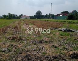 Tanah di Banguntapan, Bantul Luas 1537m2 Dijual Segera Tanah di Banguntapan, Bantul Luas 1537m2 Dijual Segera