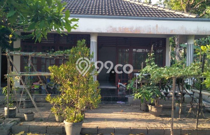 Jual Rumah Strategis Bagus Punya 4 KT di Prambanan Klaten SHM Jual Rumah Strategis Bagus Punya 4 KT di Prambanan Klaten SHM