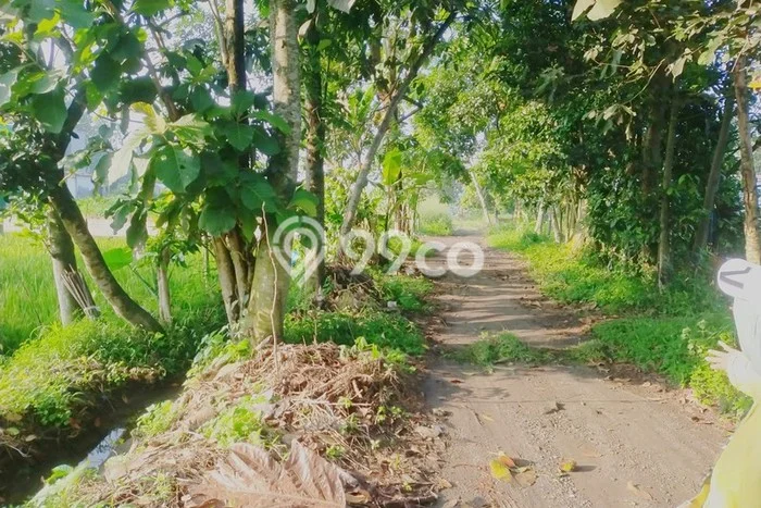 Lahan untuk Dijual di Ngemplak Sleman Luas 245m2 Lahan untuk Dijual di Ngemplak Sleman Luas 245m2