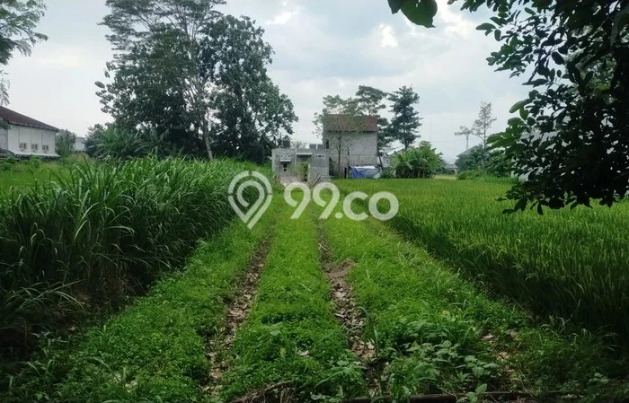 Lahan untuk Dijual di Ngemplak Sleman Luas 245m2 Lahan untuk Dijual di Ngemplak Sleman Luas 245m2
