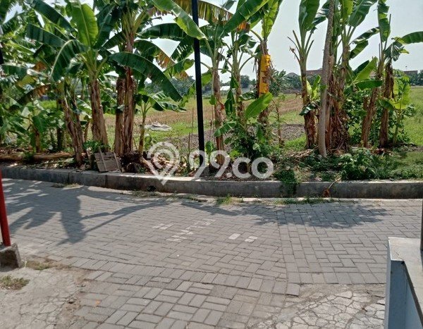 Tanah di Banguntapan, Bantul Luas 1537m2 Dijual Segera Tanah di Banguntapan, Bantul Luas 1537m2 Dijual Segera