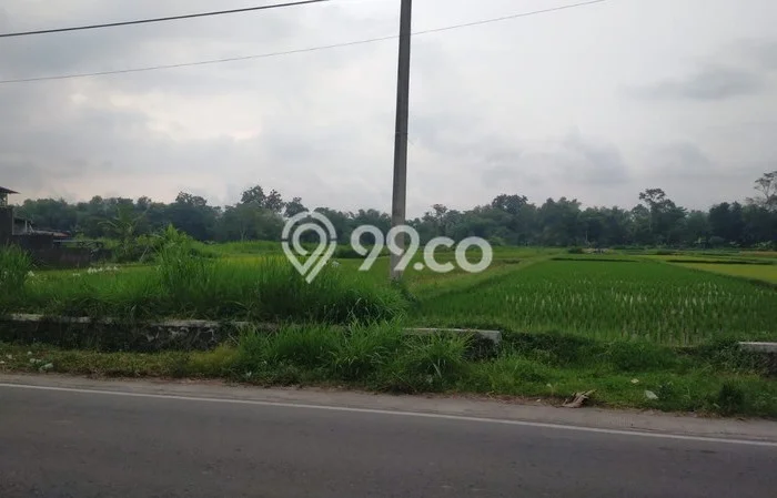 Disewakan Segera Tanah di Kalasan Luas 10000m2 Area Potensial Disewakan Segera Tanah di Kalasan Luas 10000m2 Area Potensial
