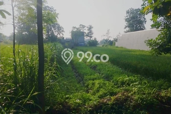 Lahan untuk Dijual di Ngemplak Sleman Luas 245m2 Lahan untuk Dijual di Ngemplak Sleman Luas 245m2
