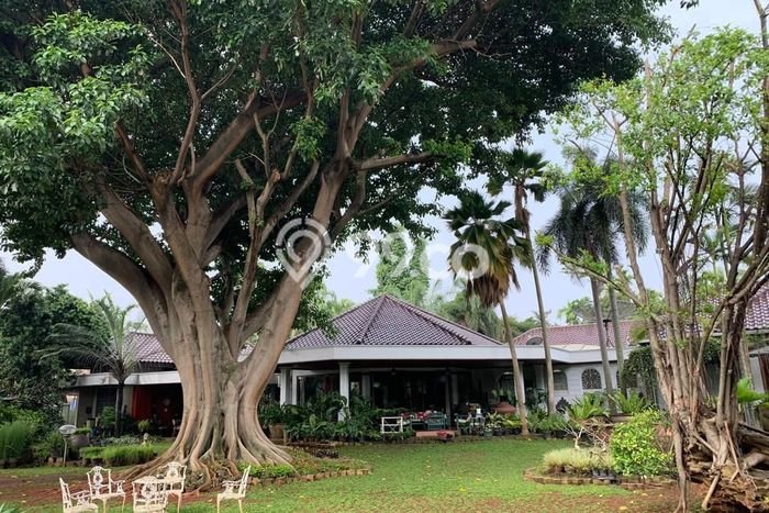 Komersial Dijual Lokasi Stratagis di Cilandak Jakarta Selatan Cocok untuk Investasi Komersial Dijual Lokasi Stratagis di Cilandak Jakarta Selatan Cocok untuk Investasi