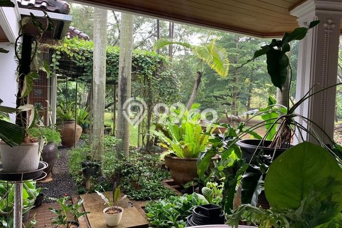 Komersial Dijual Lokasi Stratagis di Cilandak Jakarta Selatan Cocok untuk Investasi Komersial Dijual Lokasi Stratagis di Cilandak Jakarta Selatan Cocok untuk Investasi