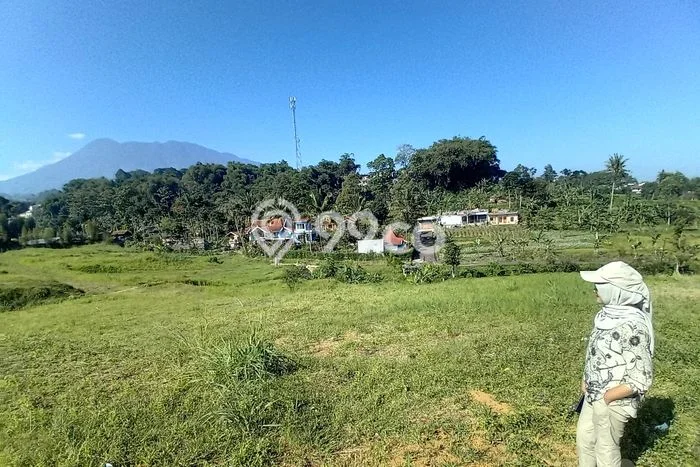 Lahan Kosong Dijual di Bogor dengan Area 1500m2 Lahan Kosong Dijual di Bogor dengan Area 1500m2