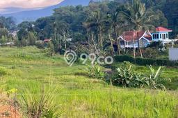Kavling Tanah di Cisarua Dijual Luas 500m2 Legalitas SHM Kavling Tanah di Cisarua Dijual Luas 500m2 Legalitas SHM