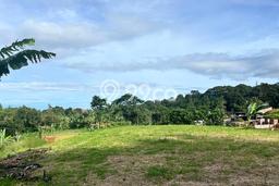 Tanah Strategis Dijual di Cisarua Bogor 500m2 Tanah Strategis Dijual di Cisarua Bogor 500m2