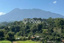 Tanah Premium Kawasan Cisarua, Luas 650m2m², Dekat Cisarua, Bogor, Bogor Tanah Premium Kawasan Cisarua, Luas 650m2m², Dekat Cisarua, Bogor, Bogor