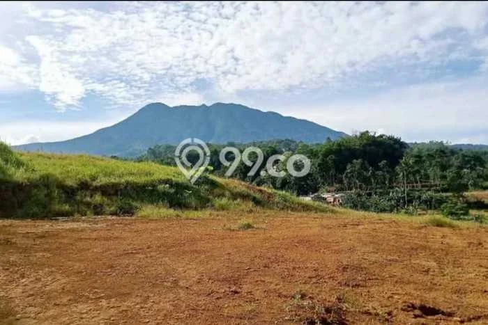 Jarang Ada! Tanah di Cisarua Punya Luas 700m2 SHM Jarang Ada! Tanah di Cisarua Punya Luas 700m2 SHM