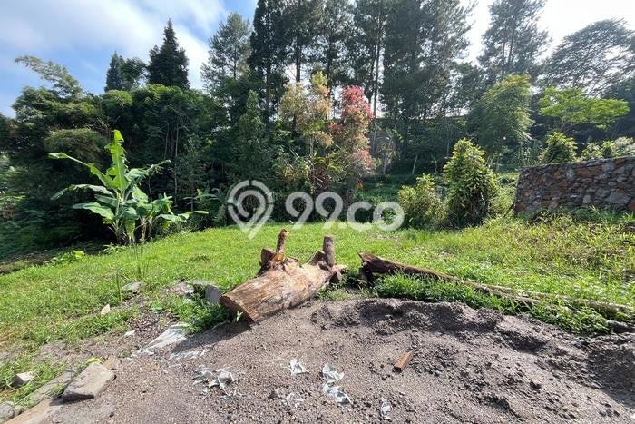 Jual Tanah Kawasan Megamendung, Luas 300m², Akses Mudah Jual Tanah Kawasan Megamendung, Luas 300m², Akses Mudah