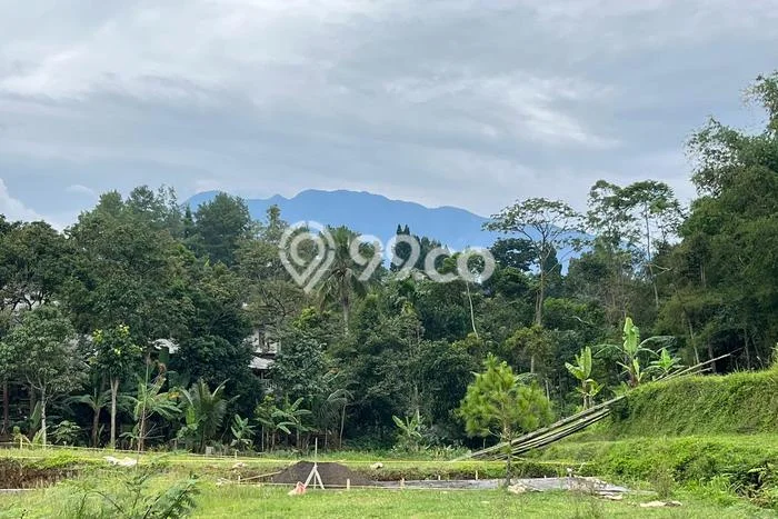Tanah Kavling untuk Dijual di Megamendung Bogor 1000m2 Tanah Kavling untuk Dijual di Megamendung Bogor 1000m2