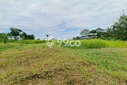 Kavling Tanah Dijual di Cisarua Bogor Spesifikasi 300m2 Kavling Tanah Dijual di Cisarua Bogor Spesifikasi 300m2