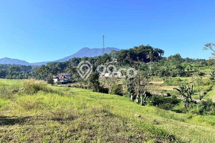 Tanah Kosong Dijual di Bogor dengan Area 150m2 Tanah Kosong Dijual di Bogor dengan Area 150m2
