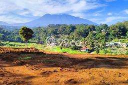 Tanah Kavling untuk Dijual di Cisarua Bogor 1000m2 Tanah Kavling untuk Dijual di Cisarua Bogor 1000m2