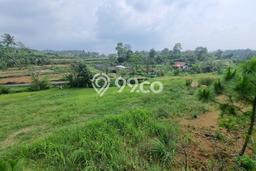 Kavling Tanah Dijual di Cisarua Bogor Spesifikasi 500m2 Kavling Tanah Dijual di Cisarua Bogor Spesifikasi 500m2