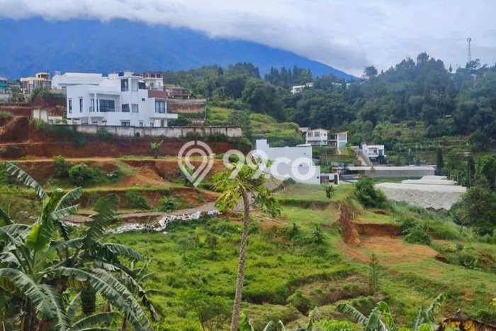 Tanah Area Berkembang di Megamendung, Luas 300m², Cocok untuk Pengembangan Tanah Area Berkembang di Megamendung, Luas 300m², Cocok untuk Pengembangan