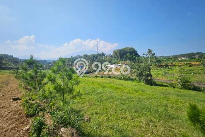 Tanah di Cisarua, Bogor Luas 1500m2 Dijual Segera Tanah di Cisarua, Bogor Luas 1500m2 Dijual Segera
