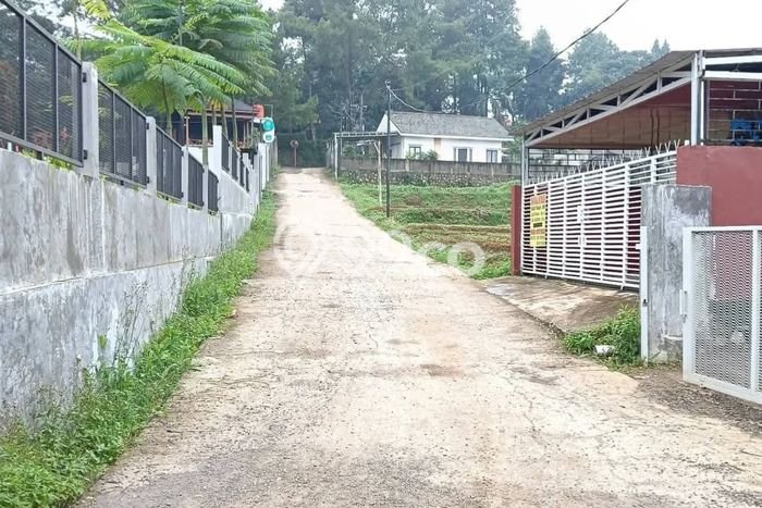 Tanah Kosong Dijual di Bogor dengan Area 315m2 Tanah Kosong Dijual di Bogor dengan Area 315m2
