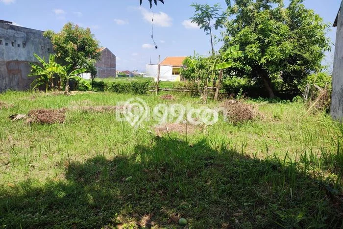 Tanah Dijual Lokasi Sukodono Lumajang SHM Tanah Dijual Lokasi Sukodono Lumajang SHM