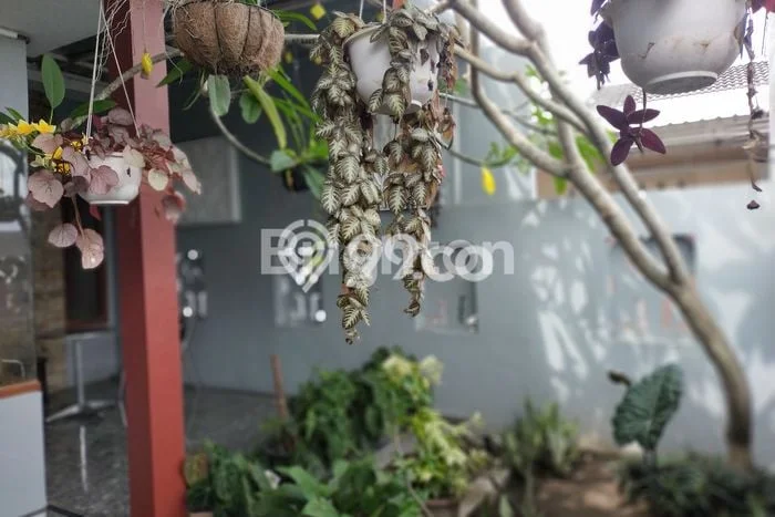 Rumah Bagus Siap Huni Di Tekung Luas 98m2 Lokasi Strategis Rumah Bagus Siap Huni Di Tekung Luas 98m2 Lokasi Strategis