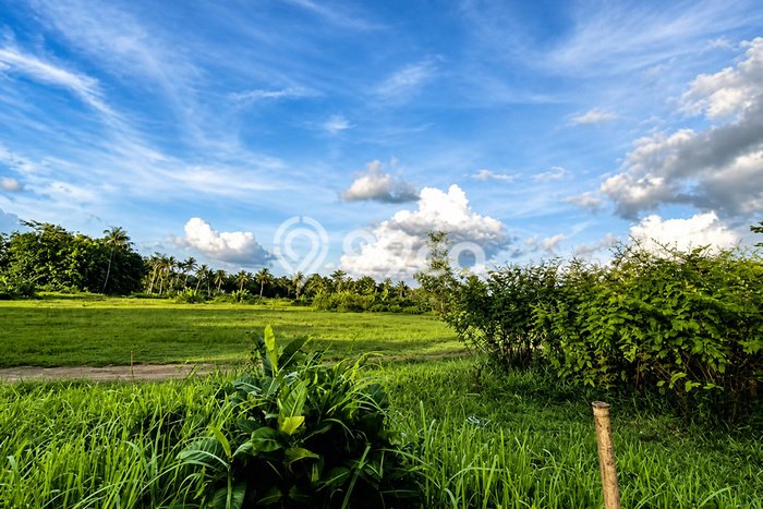 Lahan Kosong Dijual di Magelang dengan Area 34635m2 Lahan Kosong Dijual di Magelang dengan Area 34635m2