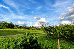 Lahan Kosong Dijual di Magelang dengan Area 34635m2 Lahan Kosong Dijual di Magelang dengan Area 34635m2