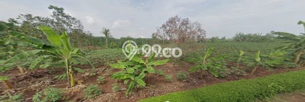 Lahan Strategis di Batang Dijual dengan Luas 1e+06m2 Lahan Strategis di Batang Dijual dengan Luas 1e+06m2