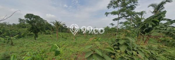 Lahan Strategis di Batang Dijual dengan Luas 1e+06m2 Lahan Strategis di Batang Dijual dengan Luas 1e+06m2