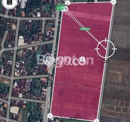 Dijual Tanah di Sragen, Luas 80000m2 SHM Dijual Tanah di Sragen, Luas 80000m2 SHM