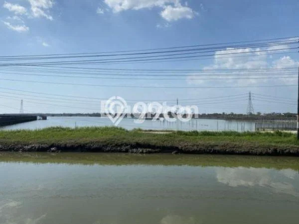 Tanah Dijual Lokasi Demak, Demak Luas 10000m2 Legalitas Aman Tanah Dijual Lokasi Demak, Demak Luas 10000m2 Legalitas Aman