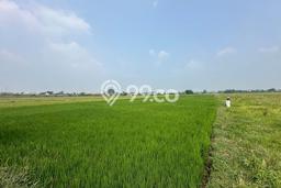 Tanah di Kebakkramat, Karanganyar Luas 10000m2 Dijual Segera Tanah di Kebakkramat, Karanganyar Luas 10000m2 Dijual Segera