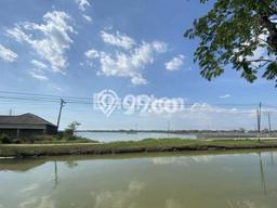 Tanah Dijual Lokasi Demak, Demak Luas 10000m2 Legalitas Aman Tanah Dijual Lokasi Demak, Demak Luas 10000m2 Legalitas Aman