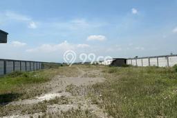 Kavling Tanah Dijual di Sragen Sragen Spesifikasi 42000m2 Kavling Tanah Dijual di Sragen Sragen Spesifikasi 42000m2