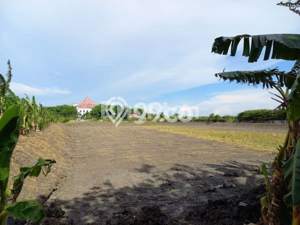 Untuk Dijual Tanah di Gresik, Luas 24300m2 SHM Untuk Dijual Tanah di Gresik, Luas 24300m2 SHM