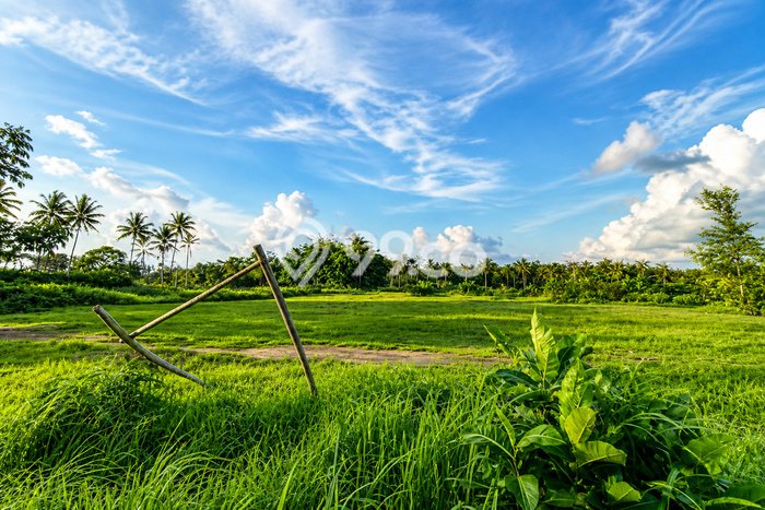 Lahan Kosong Dijual di Magelang dengan Area 34635m2 Lahan Kosong Dijual di Magelang dengan Area 34635m2