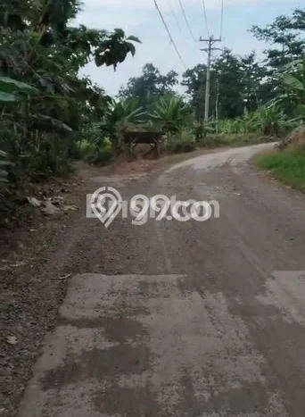Lahan Strategis di Batang Dijual dengan Luas 1e+06m2 Lahan Strategis di Batang Dijual dengan Luas 1e+06m2