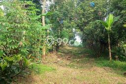 Tanah di Jonggol, Bogor Luas 2500m2 Dijual Segera Tanah di Jonggol, Bogor Luas 2500m2 Dijual Segera