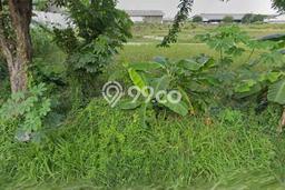 Kavling Tanah di Driyorejo Dijual Luas 2430m2 Legalitas SHM Kavling Tanah di Driyorejo Dijual Luas 2430m2 Legalitas SHM
